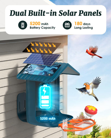 Birdsfave night vision feed after dark reveals bird activity.