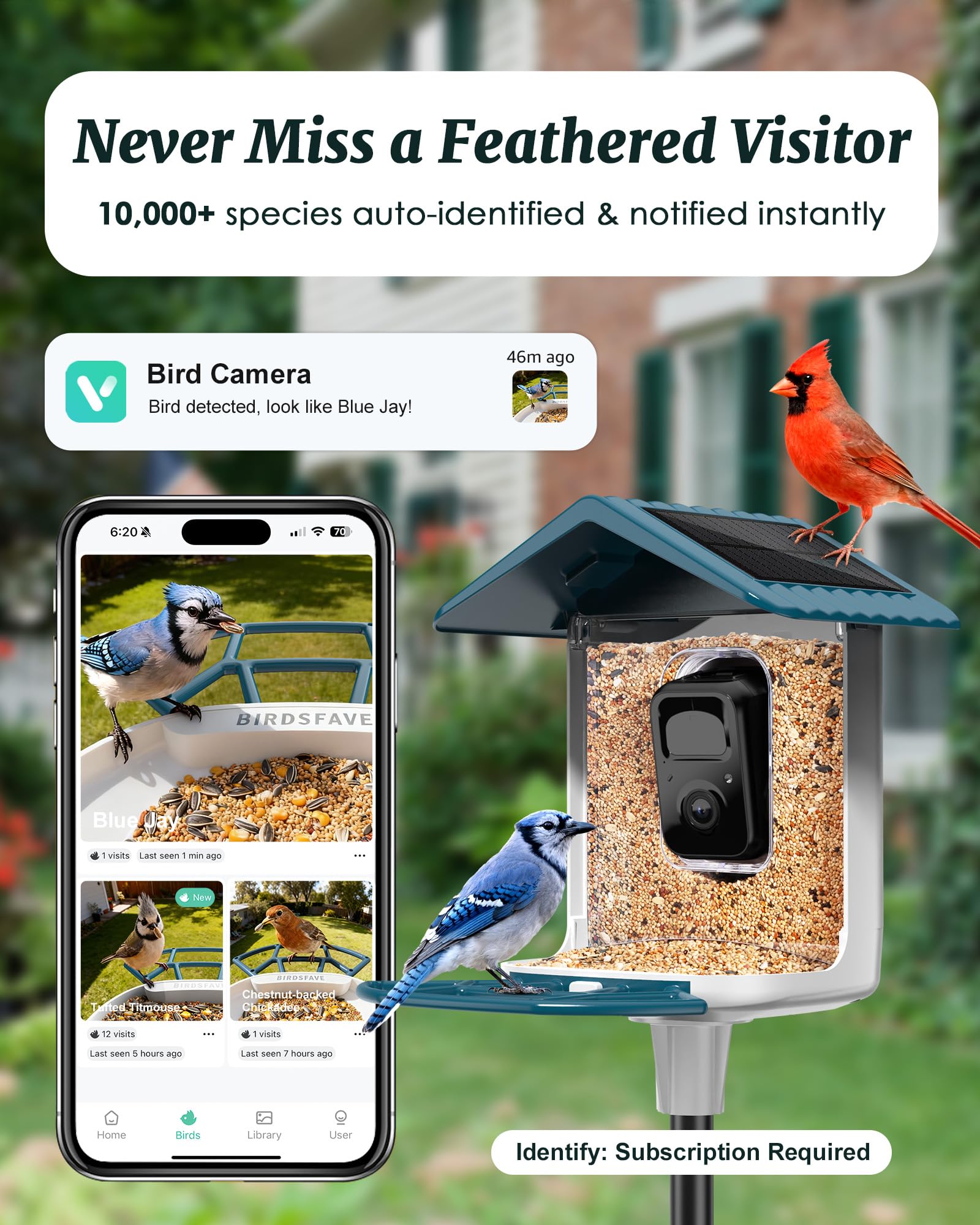 BIRDSFAVE solar-powered feeder keeps continuous power for daylight and night viewing.