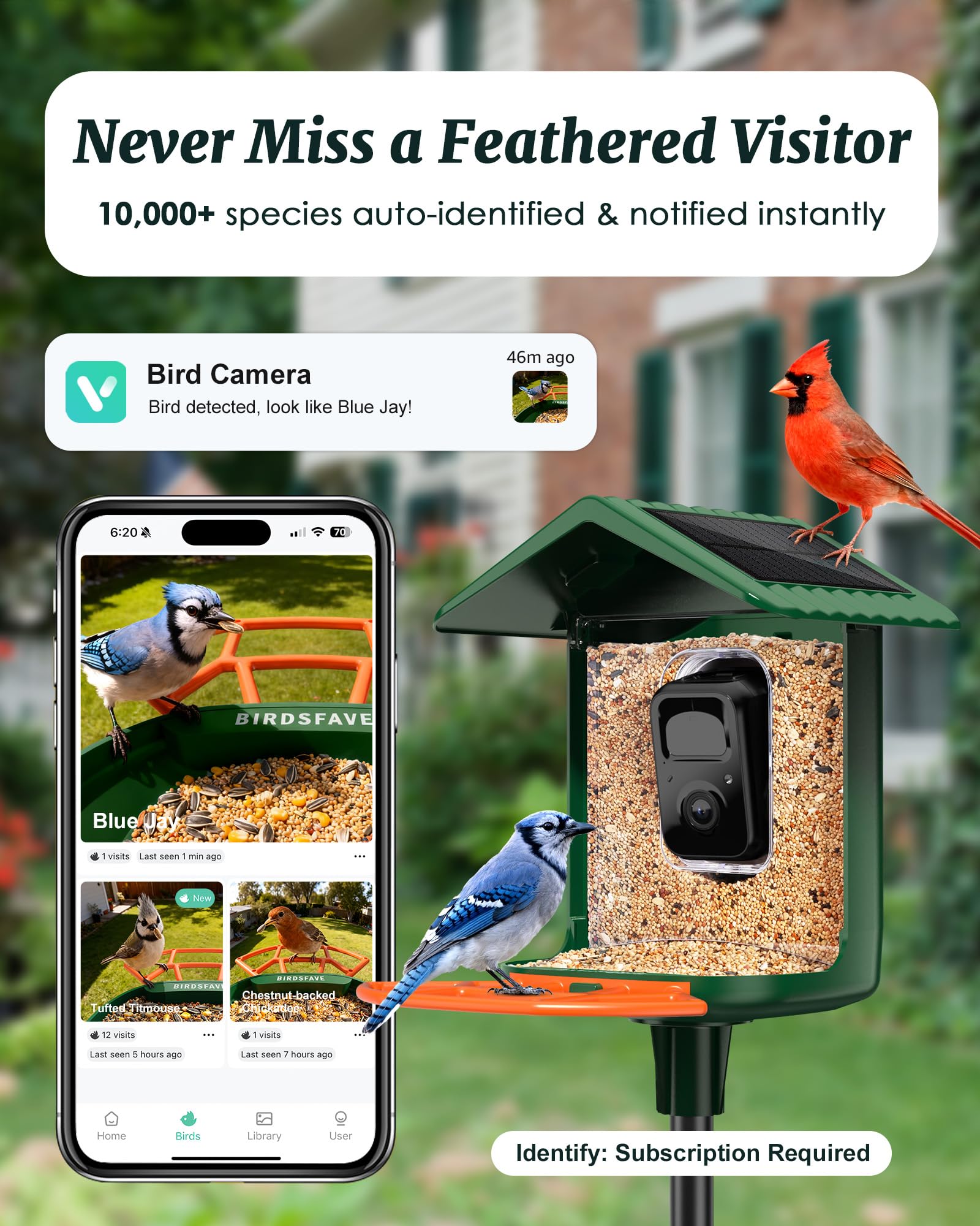 BIRDSFAVE solar-powered feeder with night-vision camera for day and night viewing