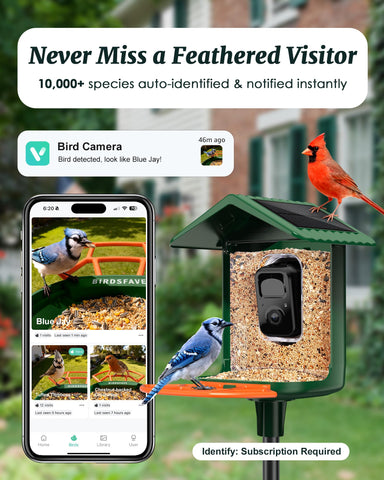 BIRDSFAVE solar-powered feeder with night-vision camera for day and night viewing