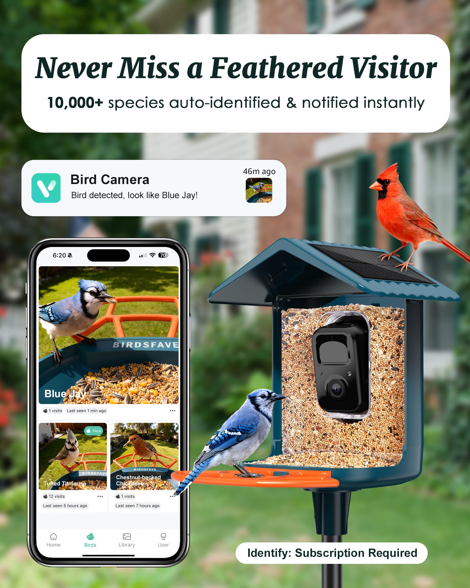 Birdsfave solar-powered feeder side view highlighting outdoor durability.