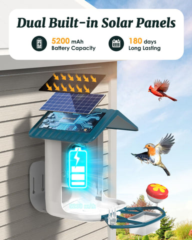 BIRDSFAVE 32GB storage saves videos and photos locally.