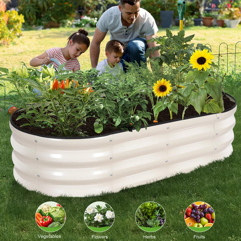 BIRDSINYARD available in 4x2x1 ft size for medium garden plots