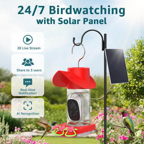 Birdsnap 2K live stream captures crisp daytime footage of visiting birds.