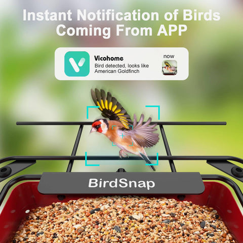 Birdsnap APS 32GB card stores thousands of bird videos locally