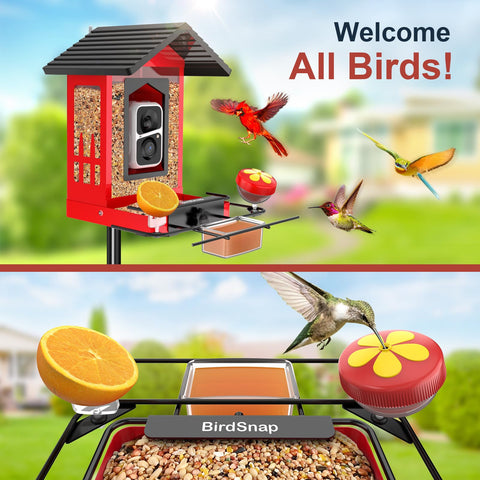 Birdsnap APS AI identification detects 10,000+ bird species