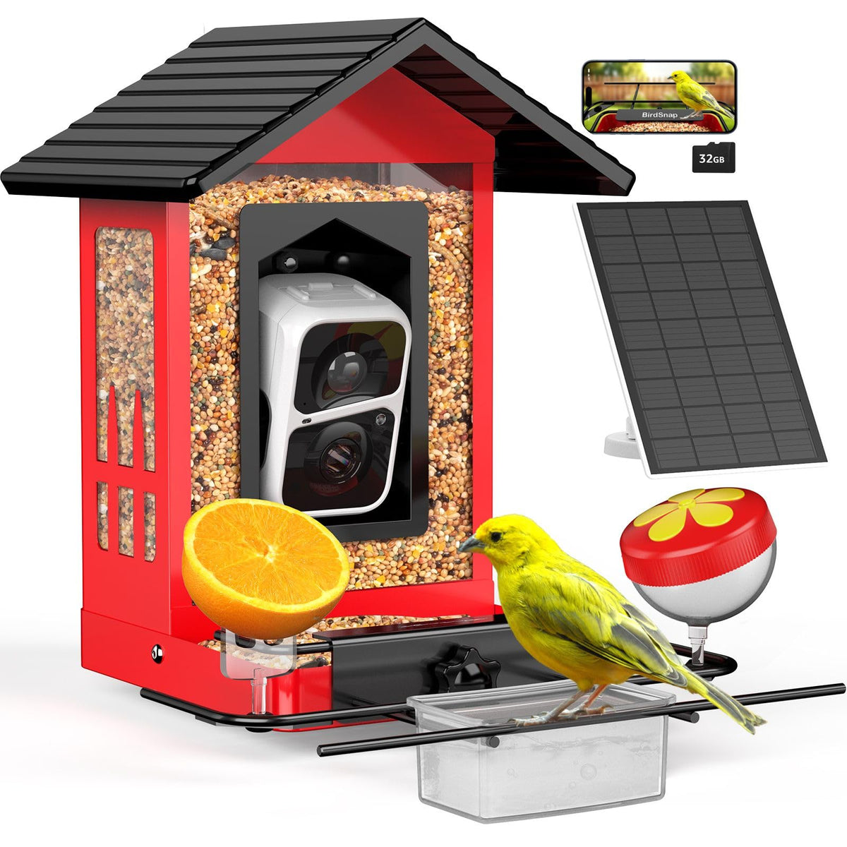 Birdsnap APS metal bird feeder with camera for real-time viewing outdoors