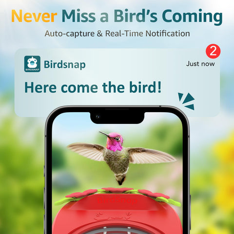 Birdsnap night vision reveals shy birds after dark.