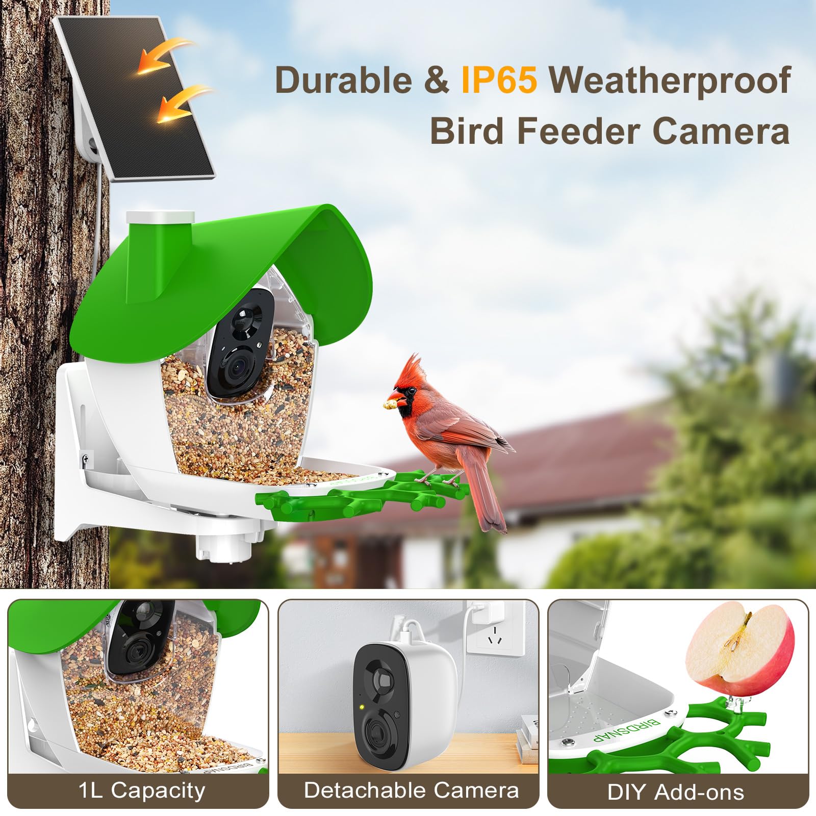 Birdsnap P33 AI identification supports species insights for enthusiasts.