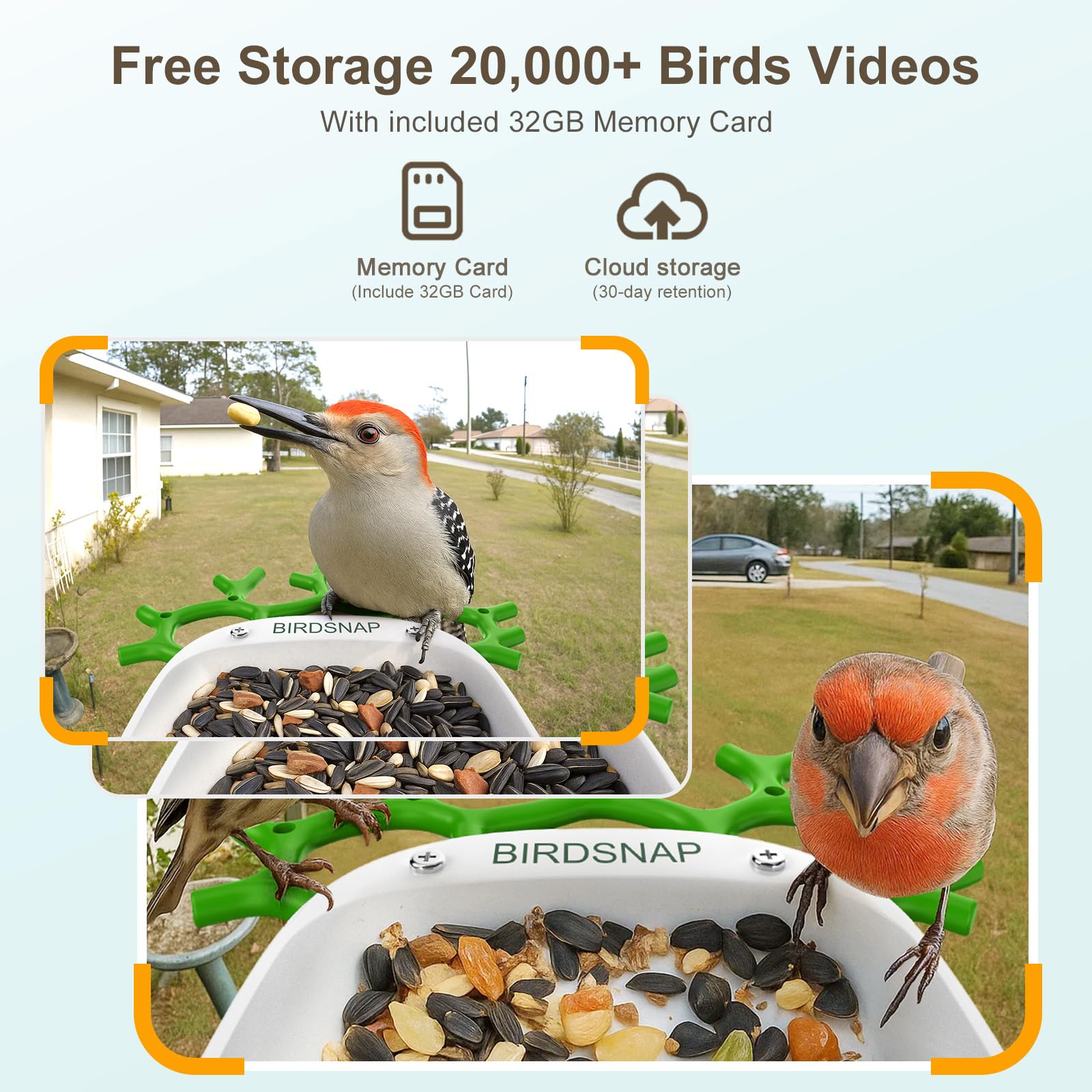 Birdsnap P33 family-friendly app enables live watching and sharing.