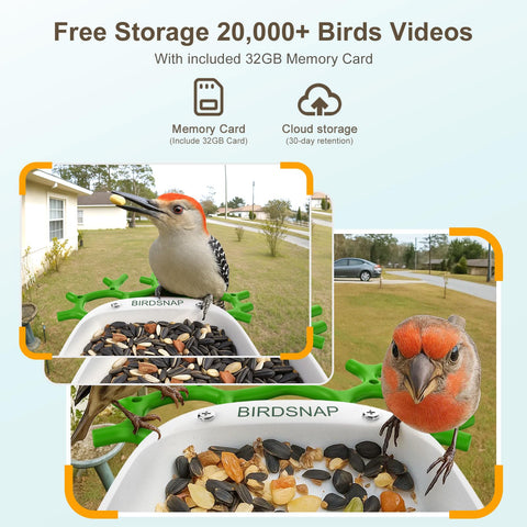 Birdsnap P33 family-friendly app enables live watching and sharing.