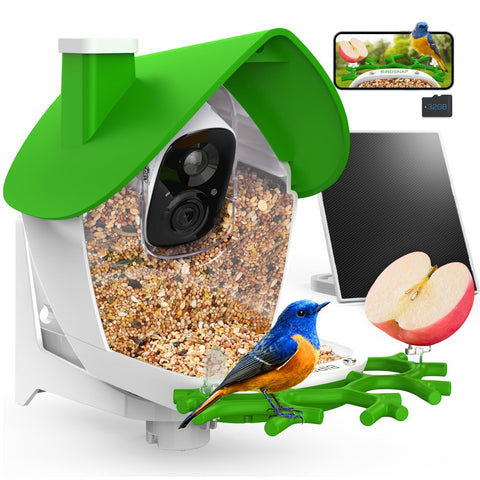 Birdsnap P33 front-view camera feeder enables real-time backyard monitoring.