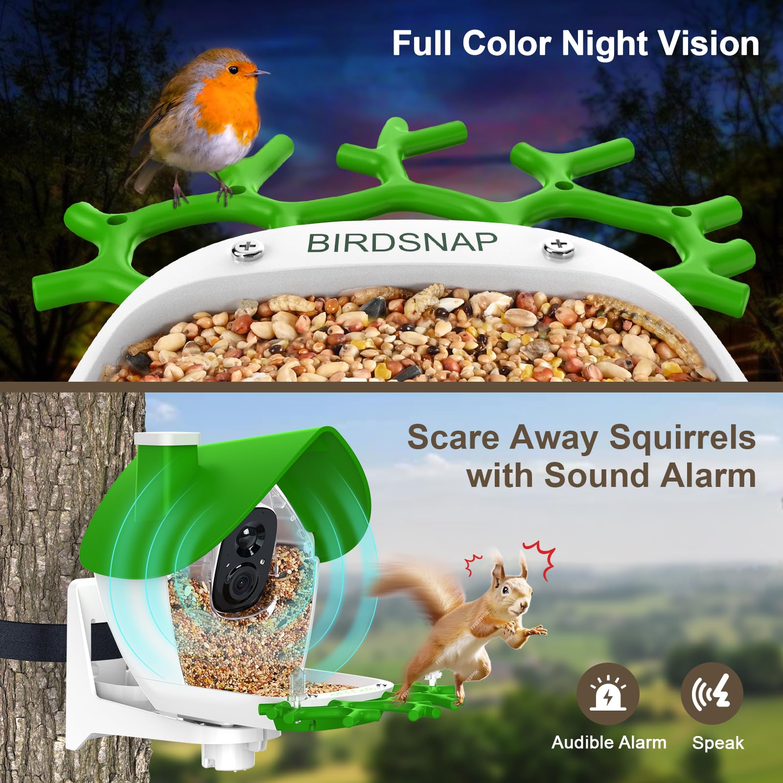 Birdsnap P33 magnetic camera removable for charging and cleaning.