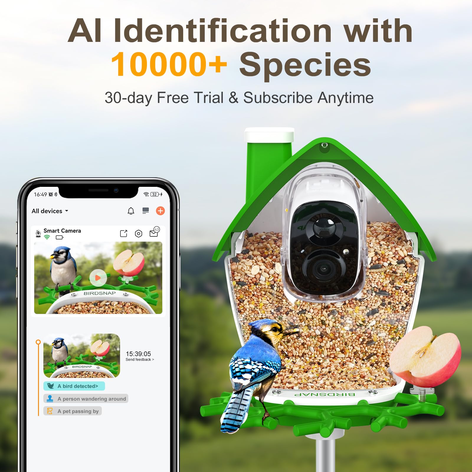 Birdsnap P33 wide-angle 2K video captures more visiting birds for identification.