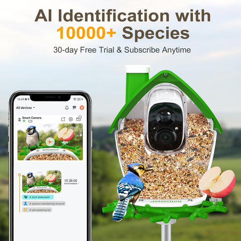 Birdsnap P33 wide-angle 2K video captures more visiting birds for identification.