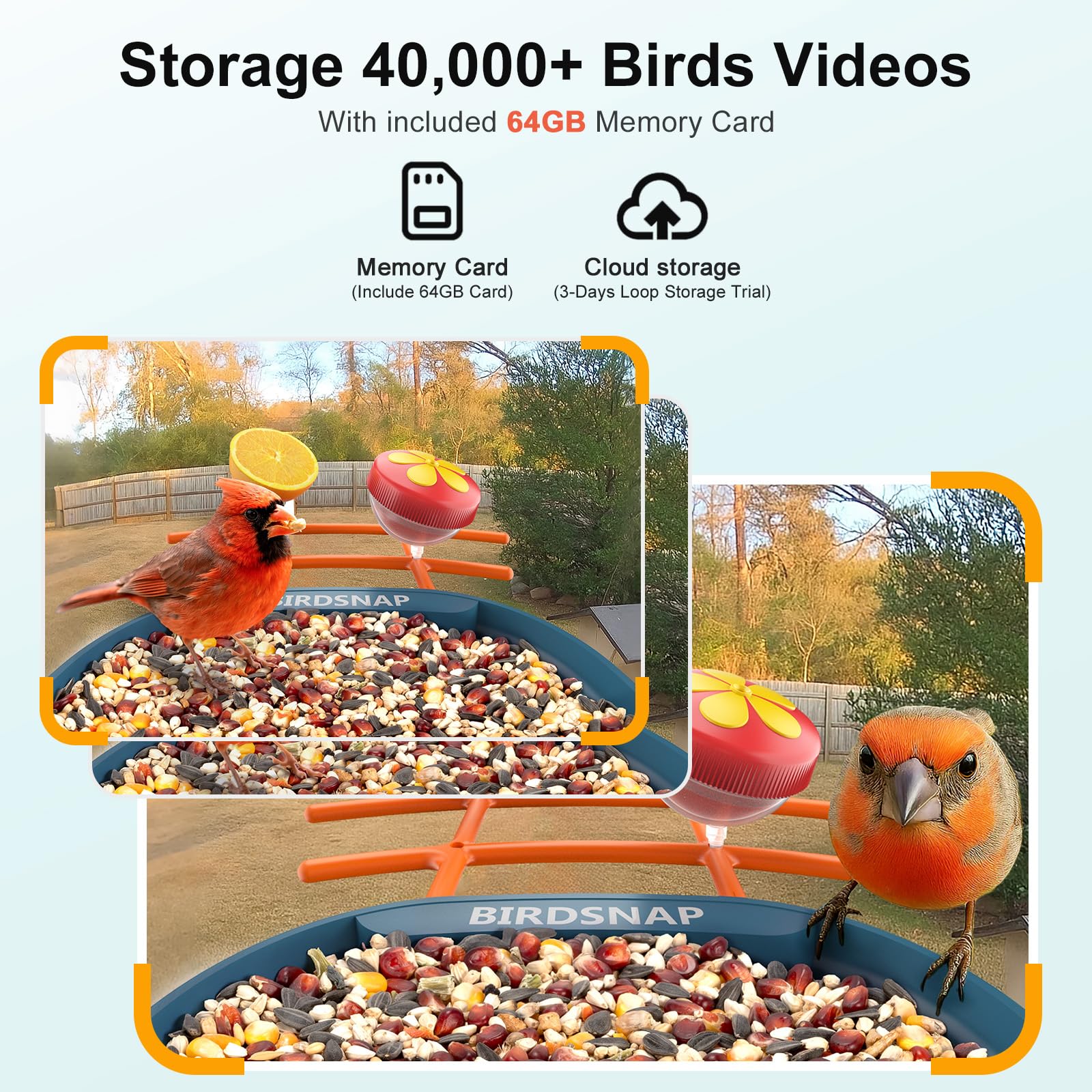Birdsnap PAV jelly box attachment enticing orioles and thrushes