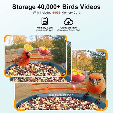 Birdsnap PAV jelly box attachment enticing orioles and thrushes