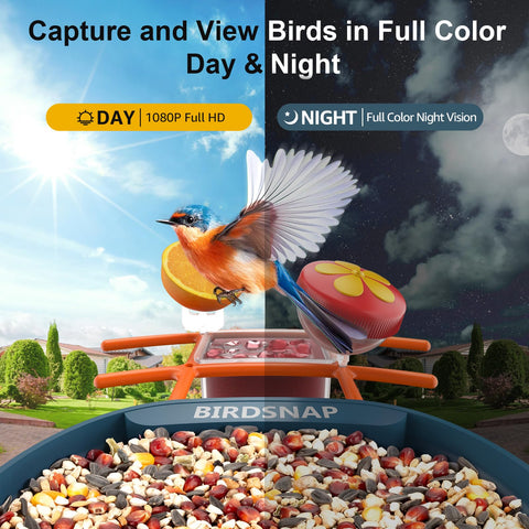 Birdsnap PAV 64GB card stores thousands of clips for safekeeping