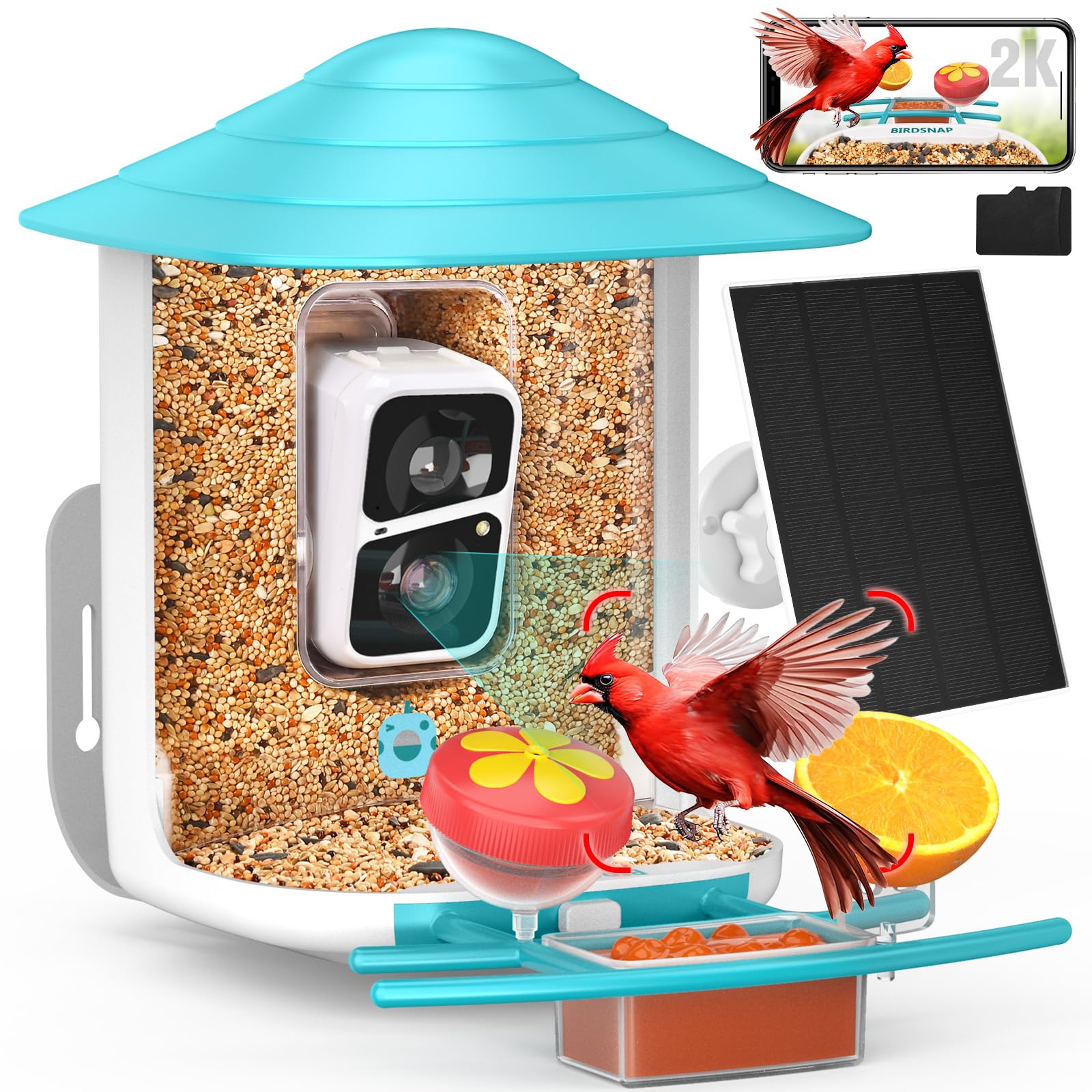 Birdsnap TUC bird feeder camera offers a clear 2K view of visiting birds