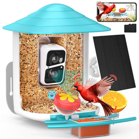 Birdsnap TUC bird feeder camera offers a clear 2K view of visiting birds