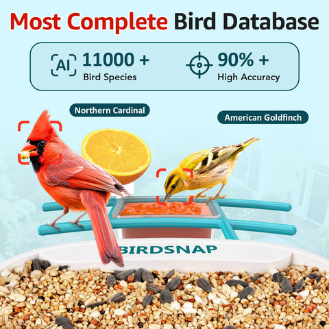 Birdsnap TUC night vision captures birds after dark with color
