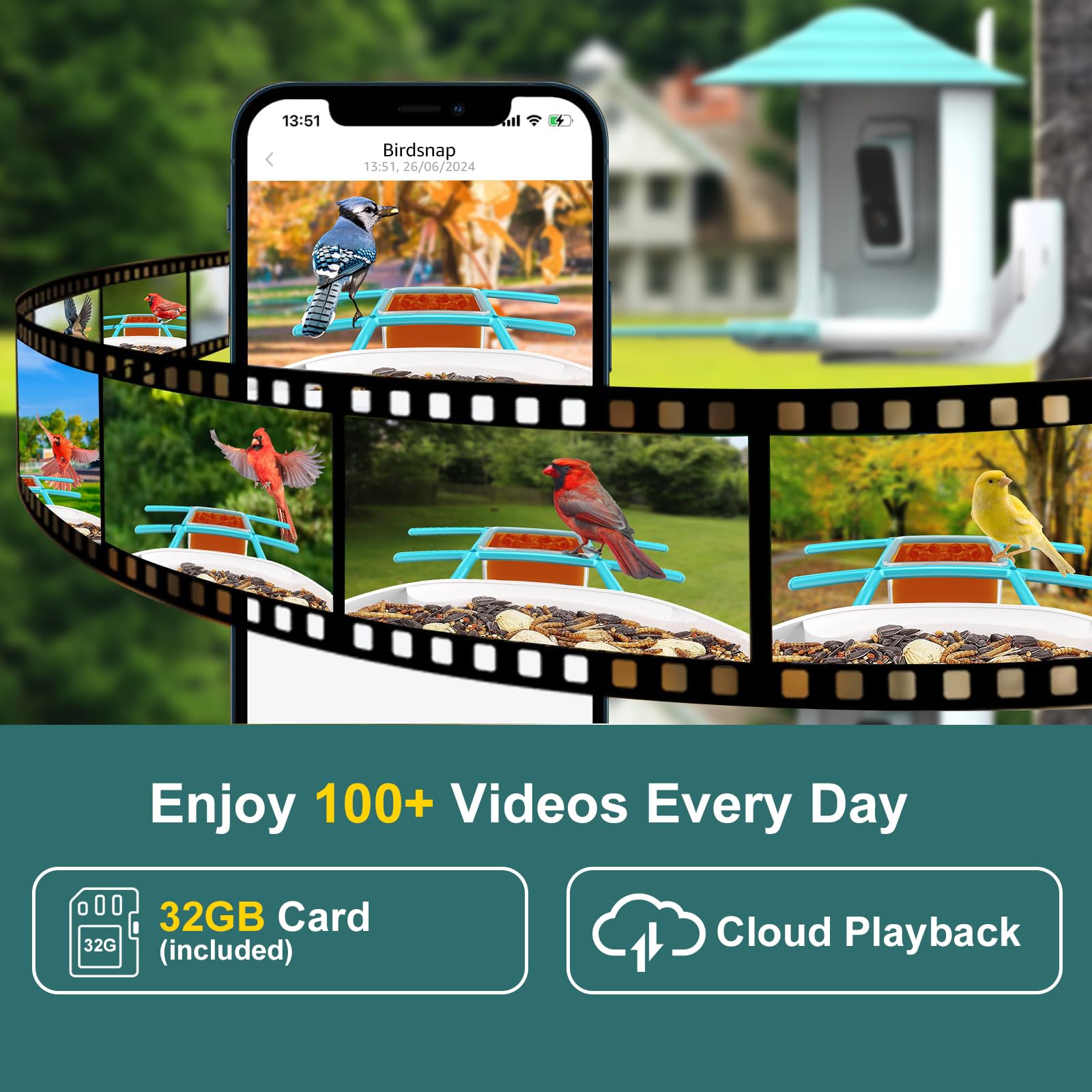 Birdsnap TUC footage saved to cloud and 32GB card for access