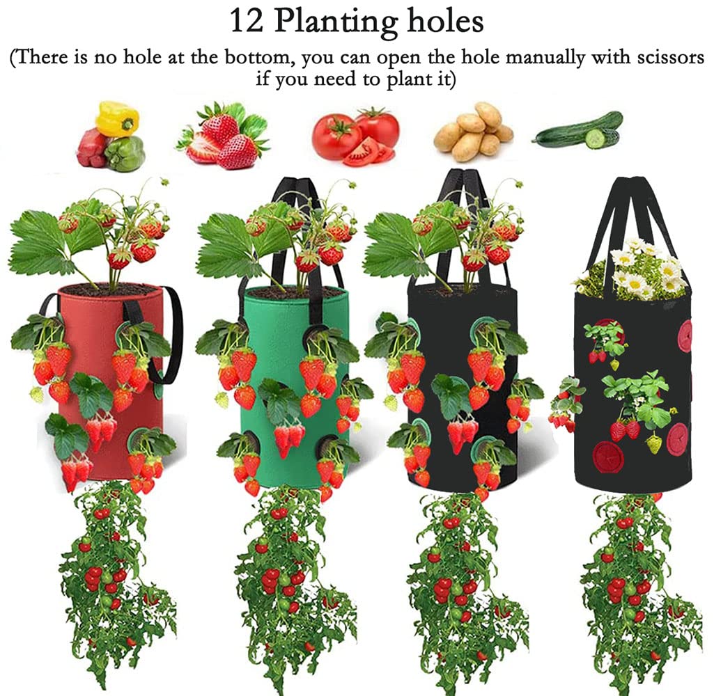 Birheatry versatile planter supports vegetables, herbs, and small fruits