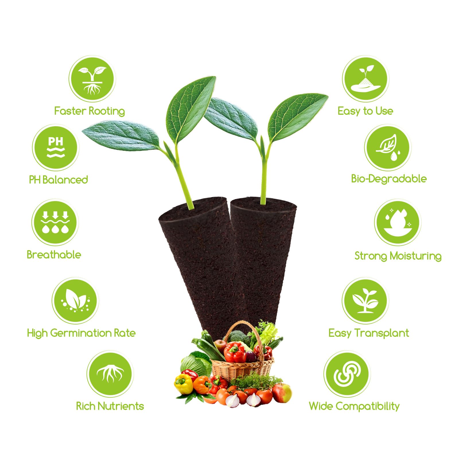 Bironzoco seed pods soak before use for optimal moisture and roots.