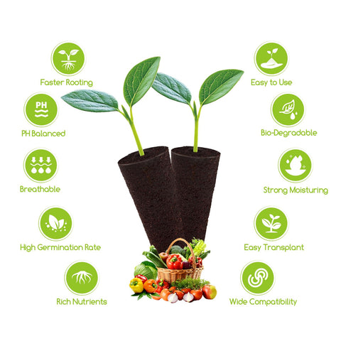 Bironzoco seed pods soak before use for optimal moisture and roots.
