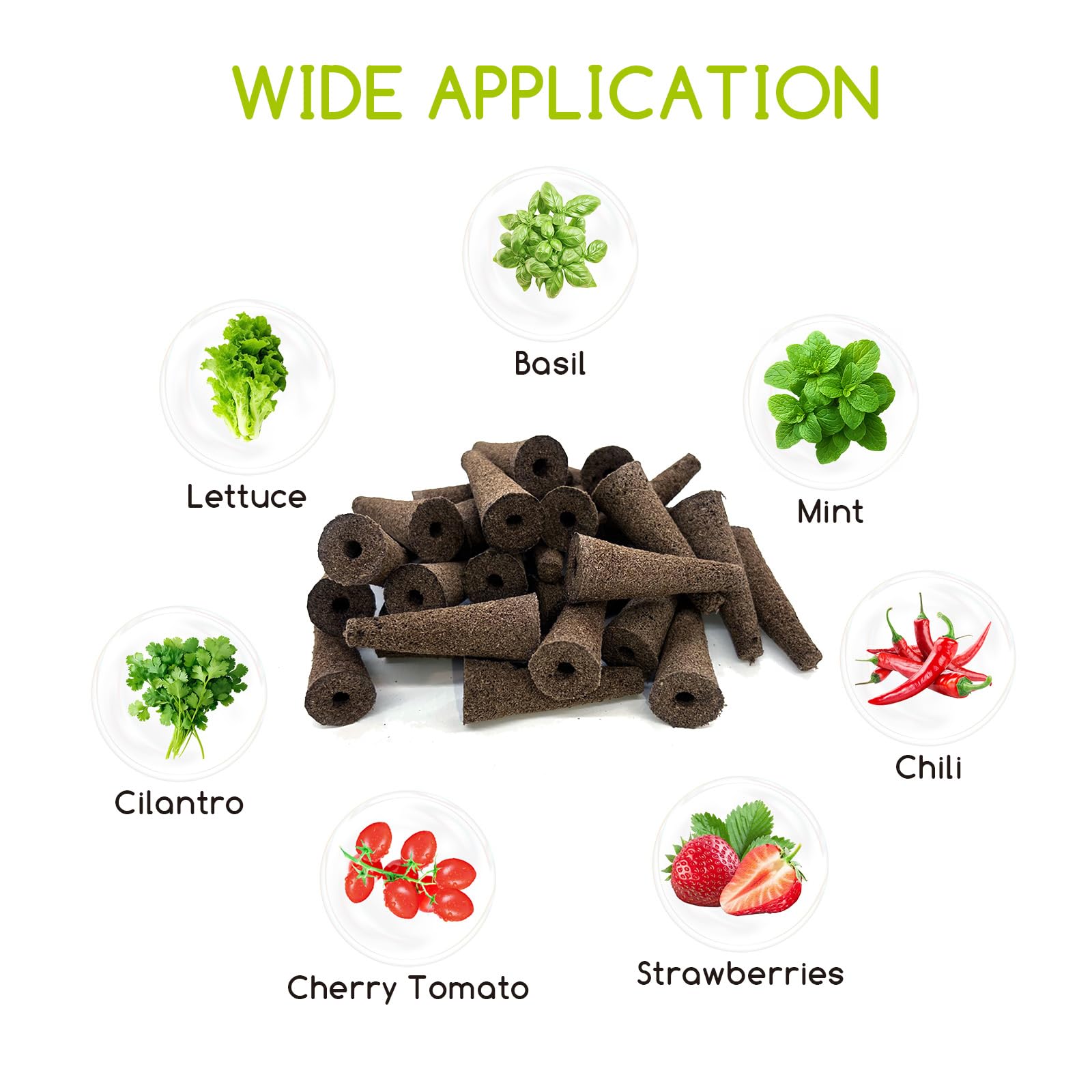Bironzoco sponges enable year-round vegetables and herbs.