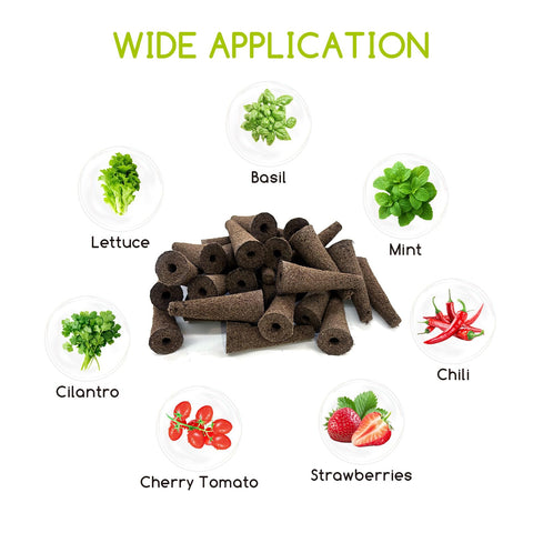 Bironzoco sponges enable year-round vegetables and herbs.