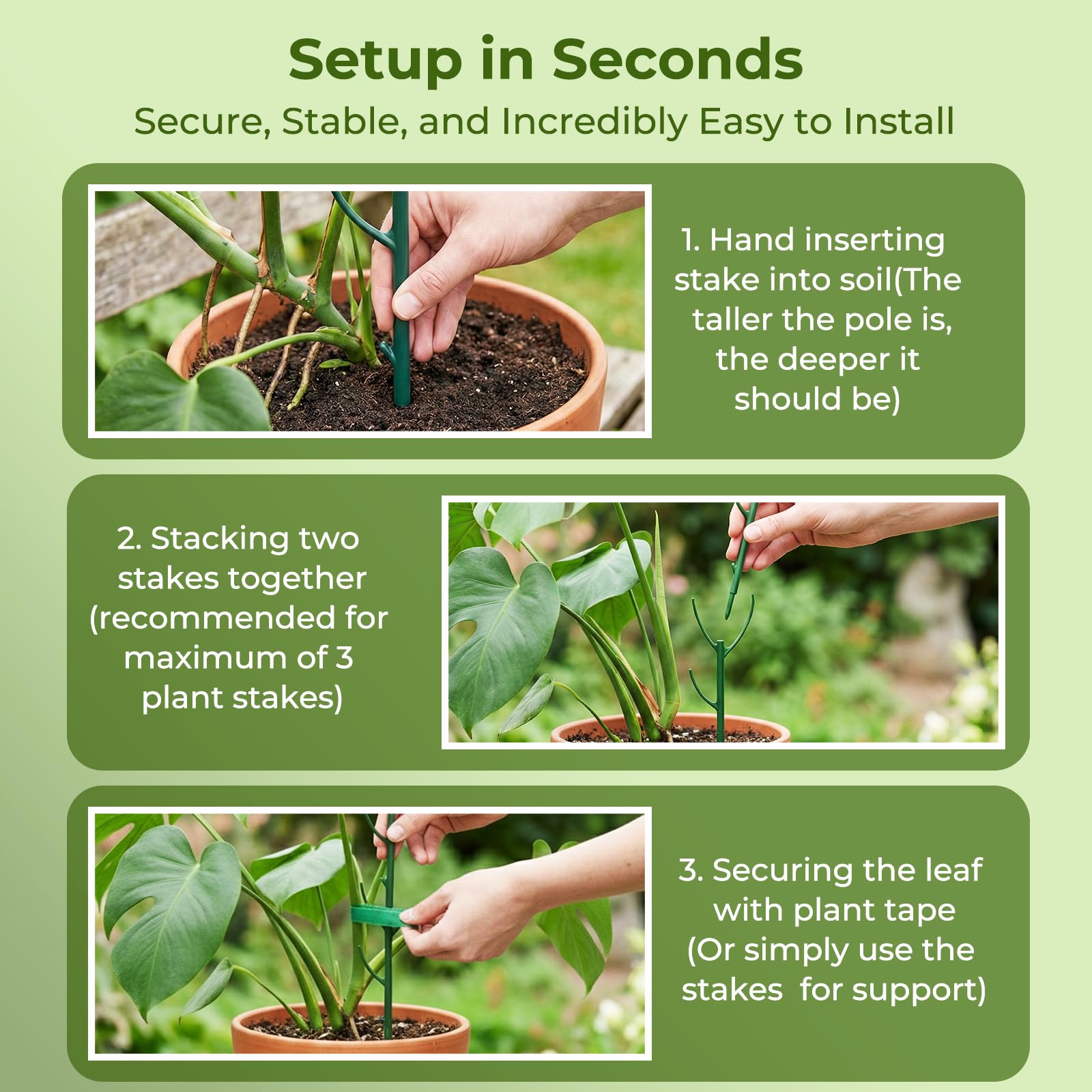 Bitjoy easy-install design helps train vines quickly and neatly.