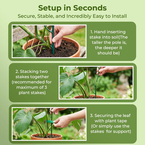 Bitjoy easy-install design helps train vines quickly and neatly.