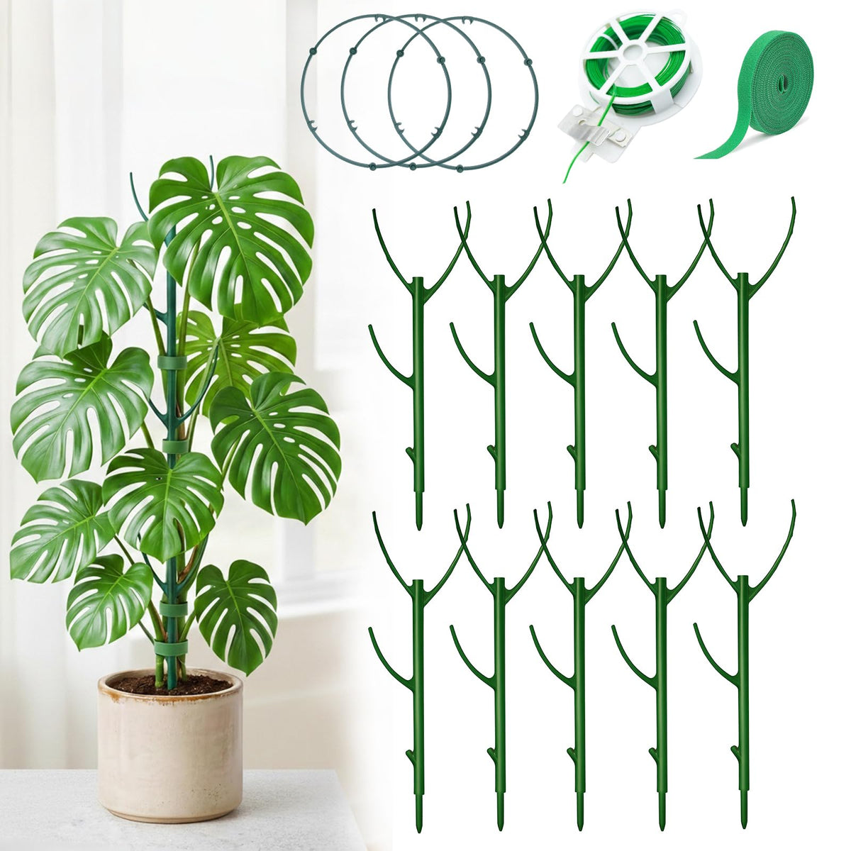 Bitjoy Monstera circle trellis provides stable vertical support for climbing plants indoors.