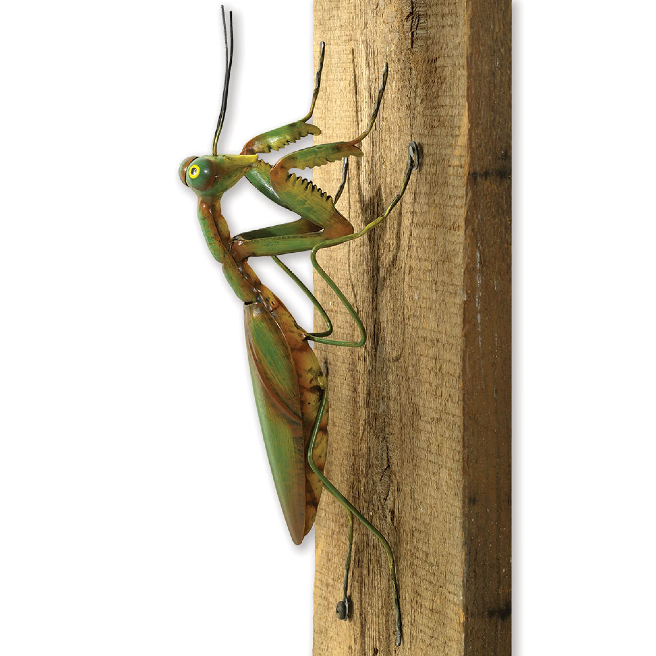 Bits and Pieces Praying Mantis Tree Hanger in full view adds playful curb appeal to outdoor spaces.