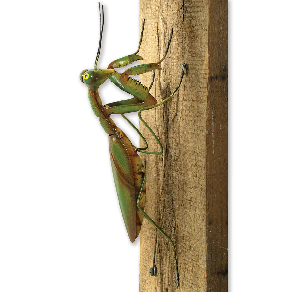 Bits and Pieces Praying Mantis Tree Hanger in full view adds playful curb appeal to outdoor spaces.