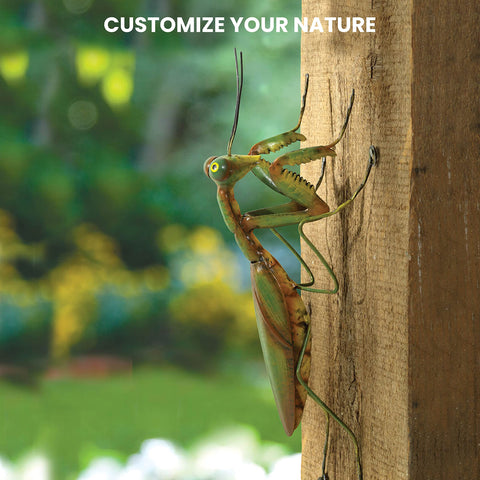 Bits and Pieces Praying Mantis Tree Hanger in yard scene sparks curiosity and smiles.