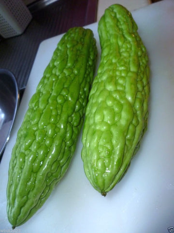 Bitter gourd vine close-up leaves show healthy growth for consistent yields.