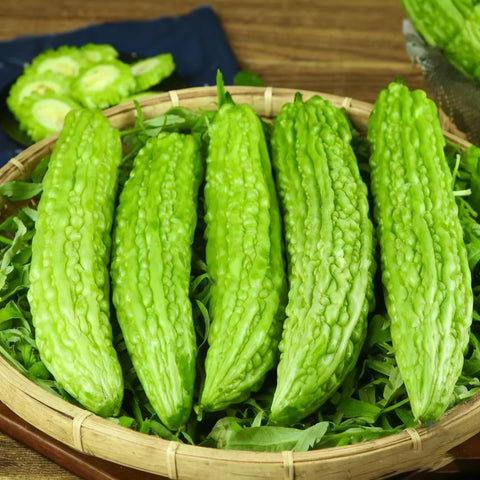 Bitter Melon Seeds on trellis with elongated, bumpy fruits.