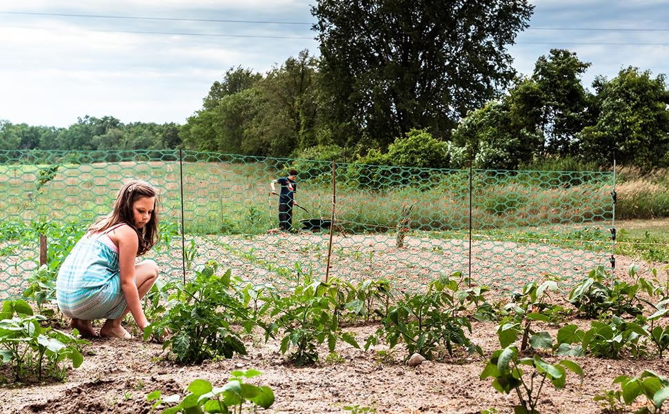 Bittesnew garden fencing for durable outdoor projects