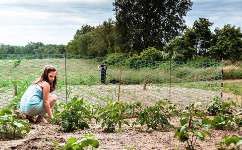 Bittesnew garden fencing for durable outdoor projects