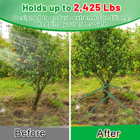 Biubee 1in-wide tree strap offers gentle, secure staking to protect bark.