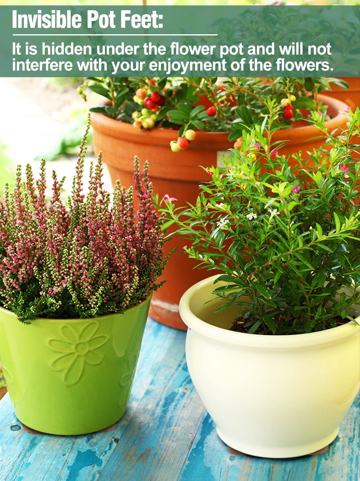 Biubee corkwood planter lifter adds sturdy support without bulk