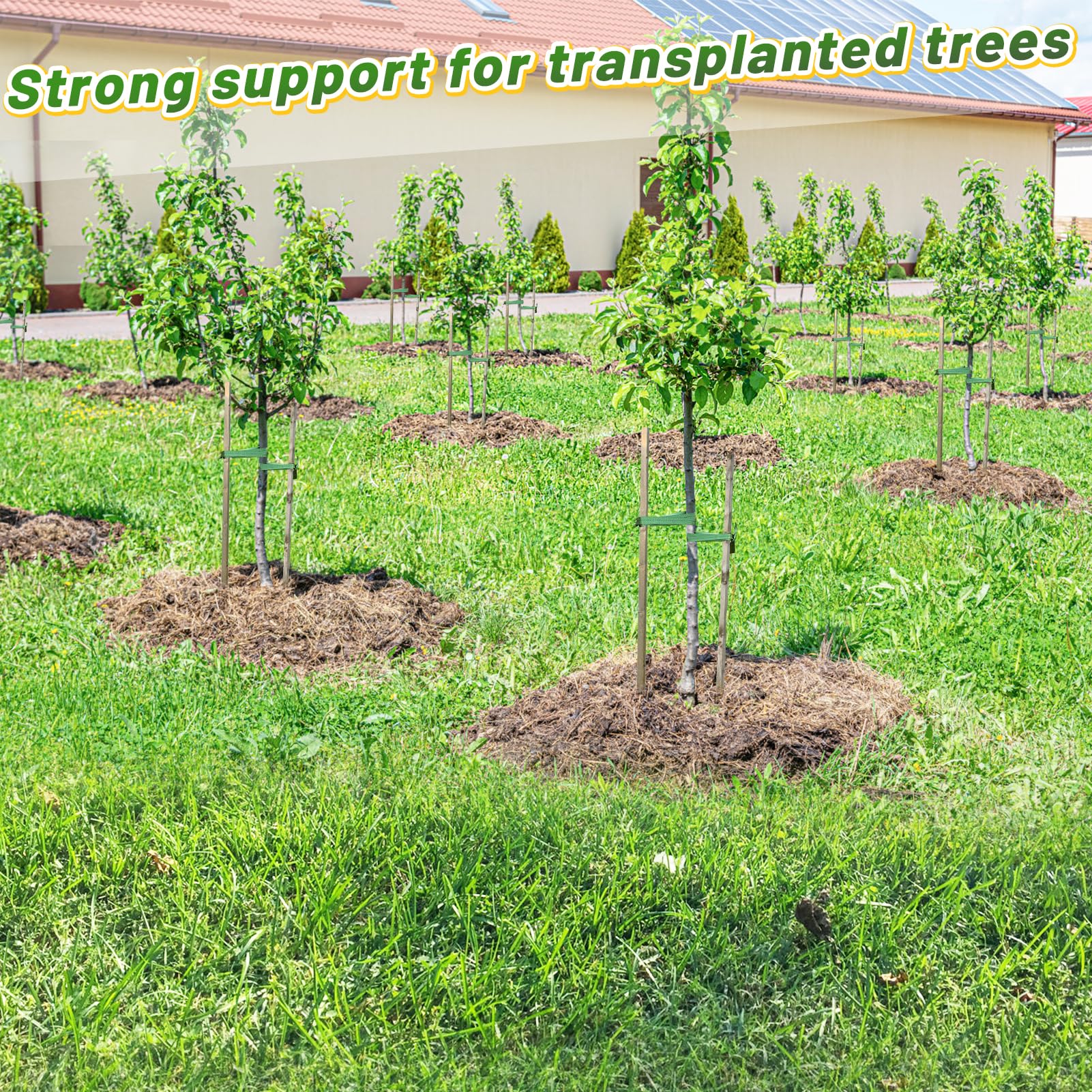 Biubee green-blend tree strap blends with landscape while providing strong support.