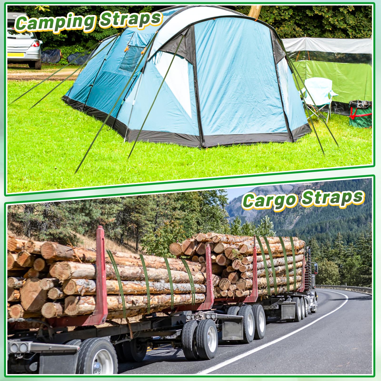 Biubee strap supports trees through storms with reliable rigidity.