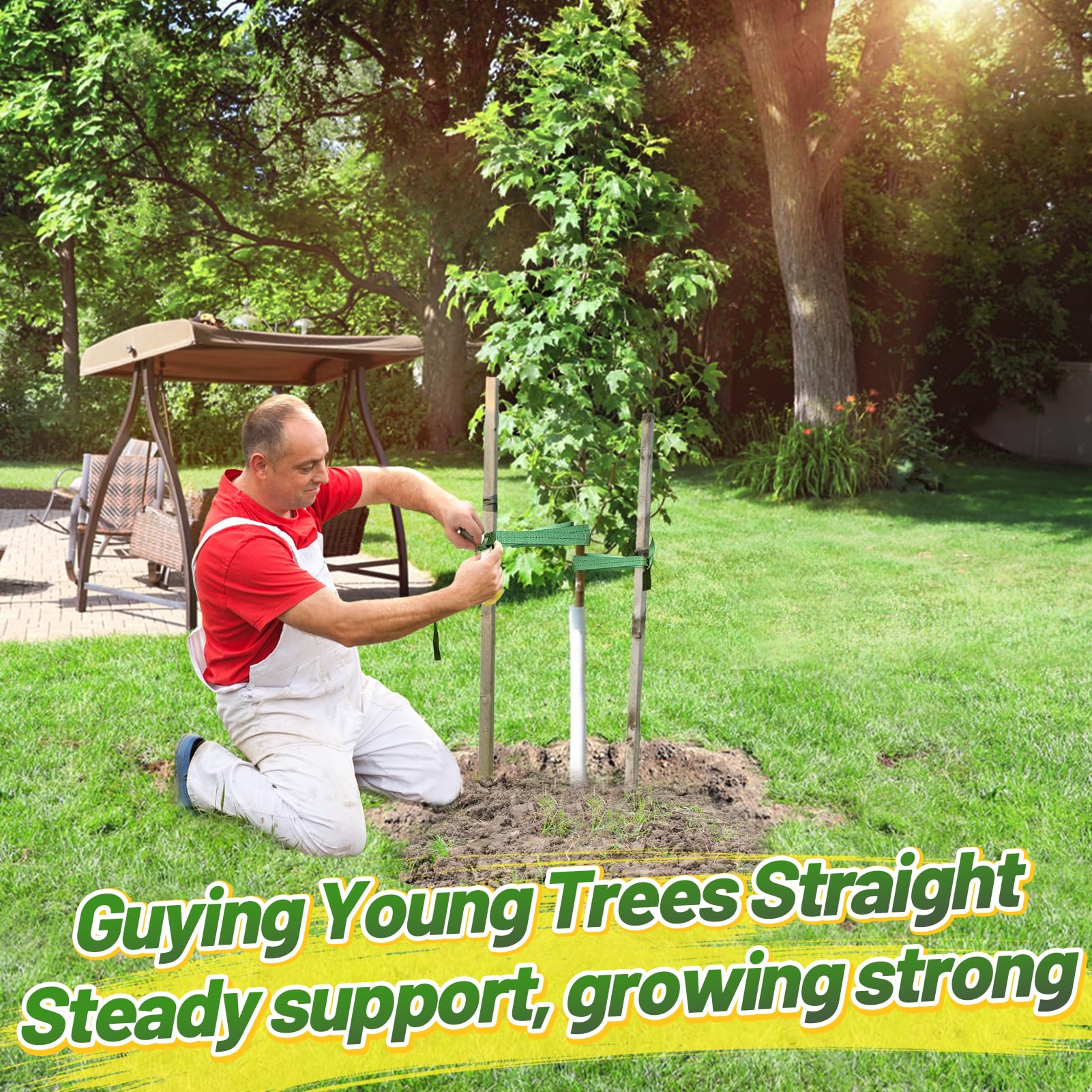 Biubee tree straps in green blend to complement landscaping