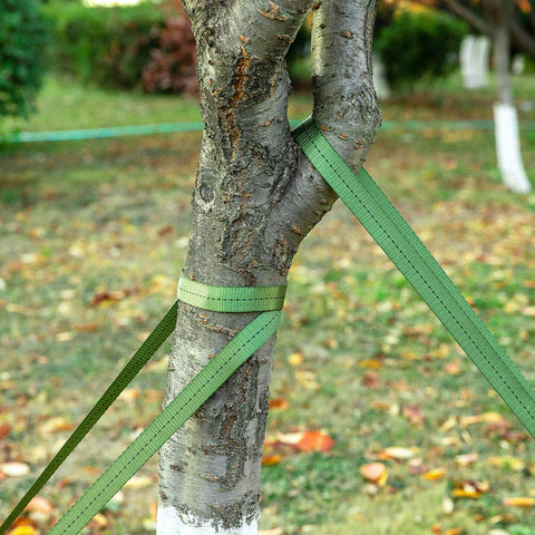 Biubee tree straps perform reliably in all weather conditions