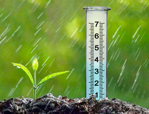 BIUWING replacement tube ensures continued outdoor rain tracking readiness