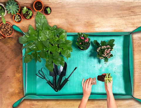 Foldable design makes storage easy after gardening sessions.