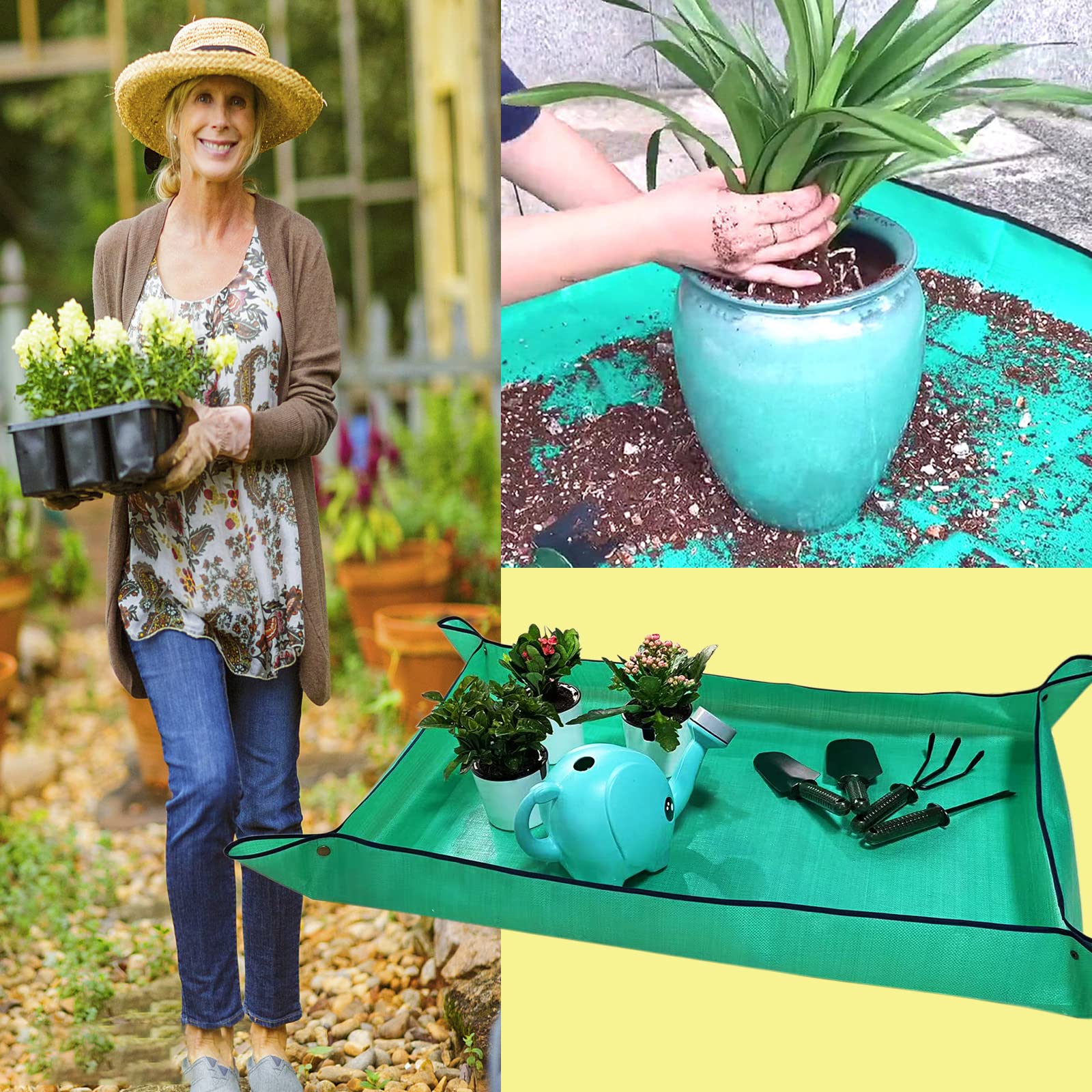 Stain resistant and reusable for multiple houseplants and succulents.